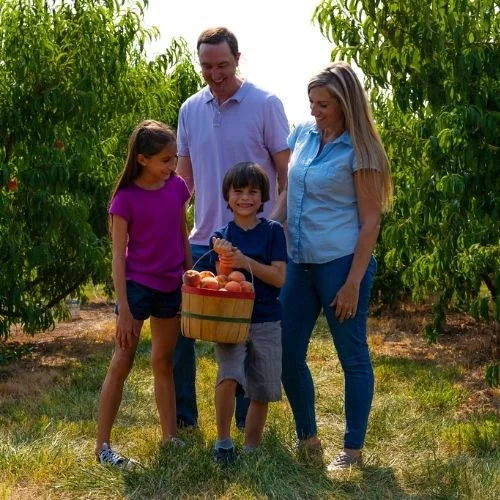 Fall Into Fun Festival – Chiles Peach Orchard
